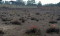 Mourners blocked from mass grave despite hopes for change