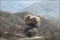 Students in border city injured by landmine from 1980s war