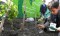 Environmental awareness measures come to universities, schools