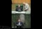 MPs grill minister on increasing internet bandwidth