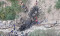 Iraqi tourists killed as bus plunges down cliff