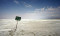 Drying of Lake Urmia spreads health problems in region
