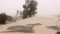 Sand storms in Sistan take a toll on daily life