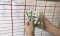 Iran’s surprising currency drop casts suspicion on government
