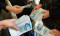 Major corruption case alleged at fuel agency