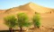 Golestan official raises alarm over desertification