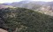 Zagros forests under threat from dust storms