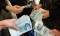Economist slams Iran’s rampant corruption, calls for concerted efforts
