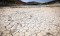 Iran looks to seawater to quench country’s thirst