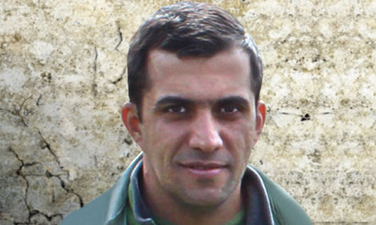 Bahman Darolshafayi