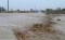 Flooding in Marivan proves fatal for two family members