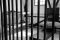 More than 50 days on hunger strike; Iranian political prisoners are slowly dying