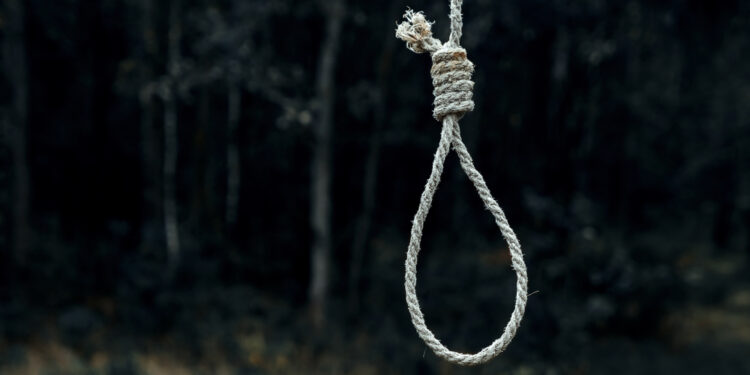Noose in forest.