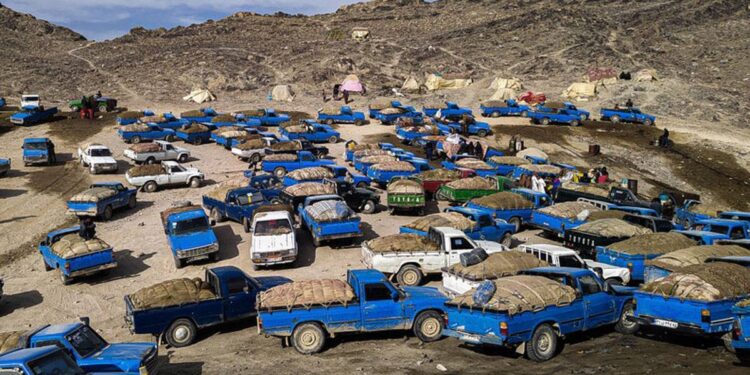 Balochistan on Edge: Border Closures and Fuel-Carrying Crackdown Ignite Deadly Protests