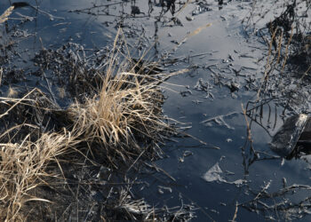 When the Bombing Stops, the Environmental War Continues